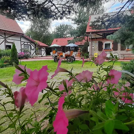 Mazurskie Uroczysko - Nad Samym Jeziorem - Plaza Lodki Kajaki - Sniadania Gospodarstwo agroturystyczne Szczytno (Warmian-Masurian)