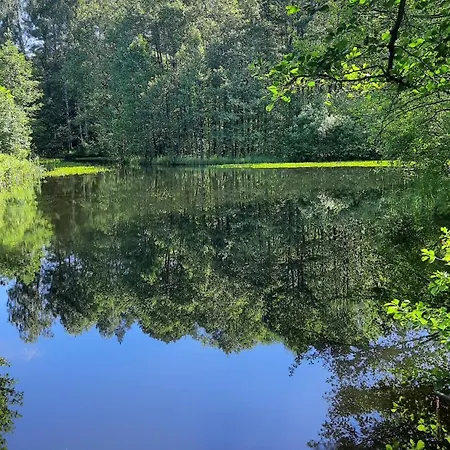 Mazurskie Uroczysko - Nad Samym Jeziorem - Plaza Lodki Kajaki - Sniadania *